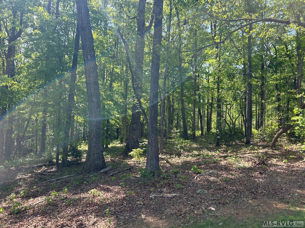 Land in Macon 2