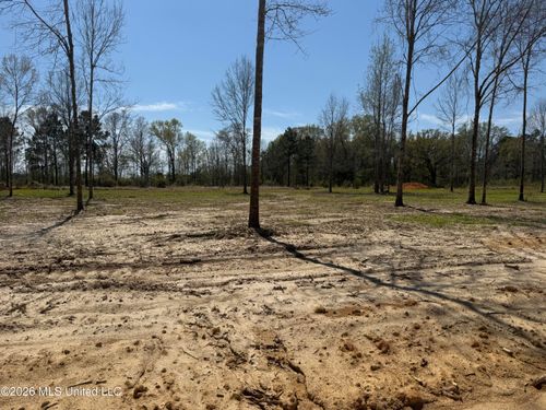 Lot 10 Oakley Lane, Lucedale, MS, 39452 | Card Image