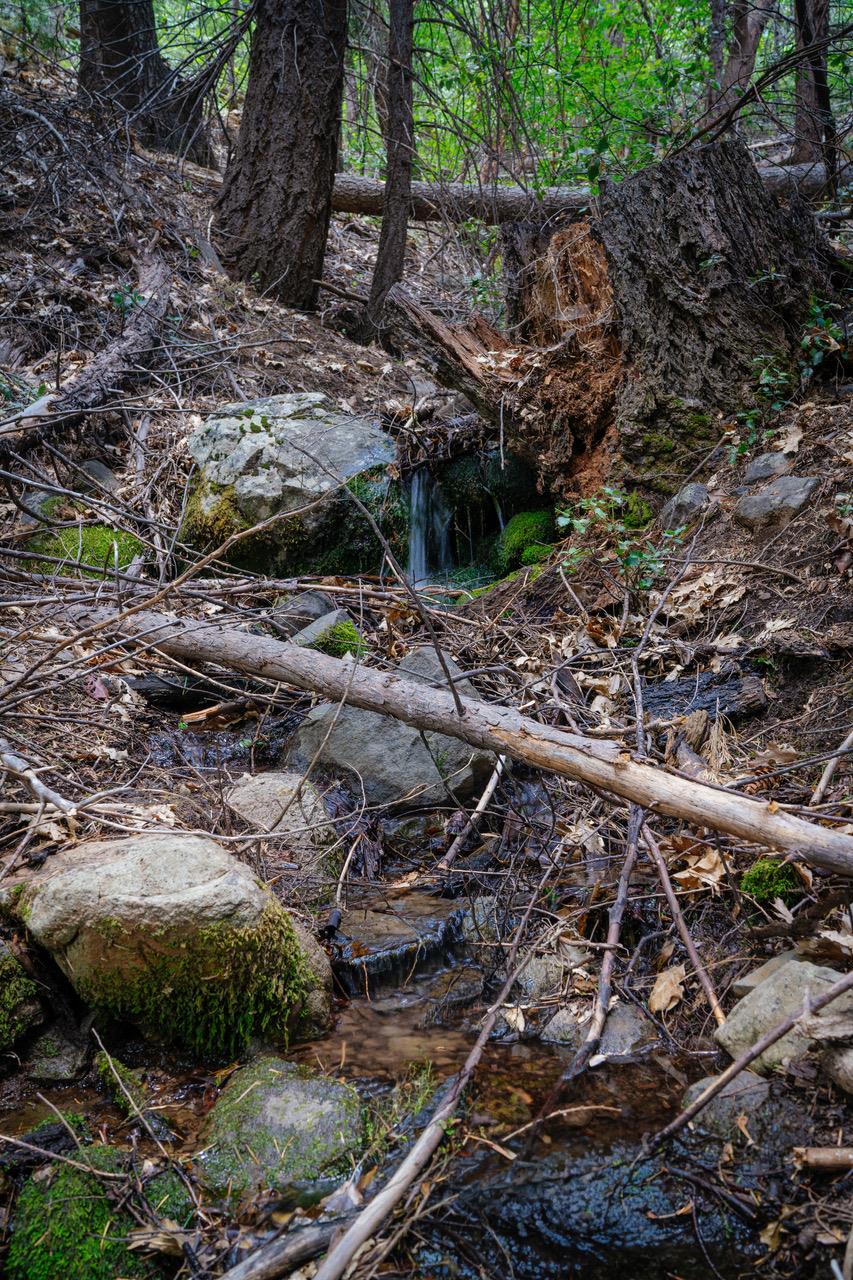 Land in Nevada City 2
