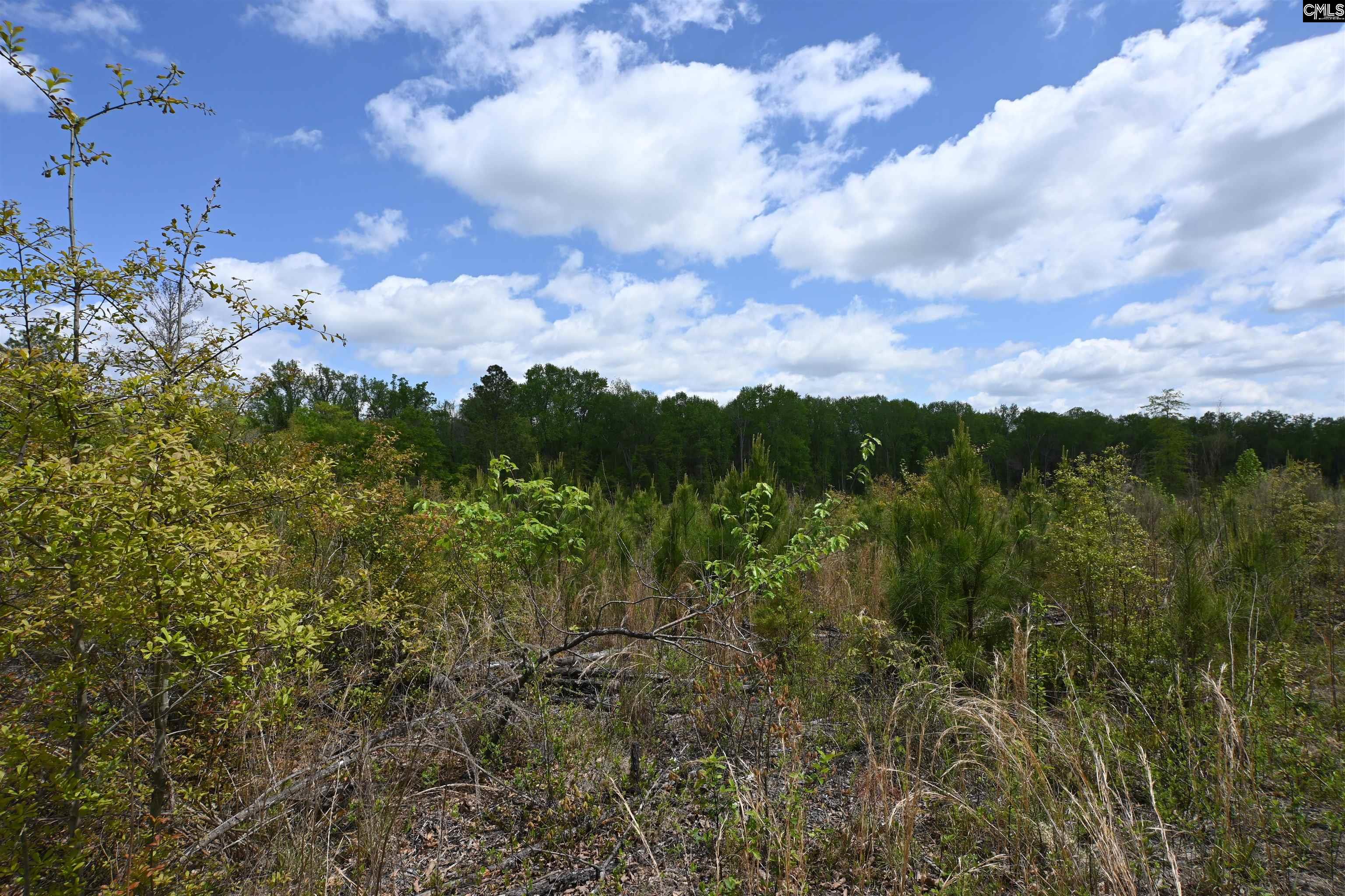 Land in West Columbia 2