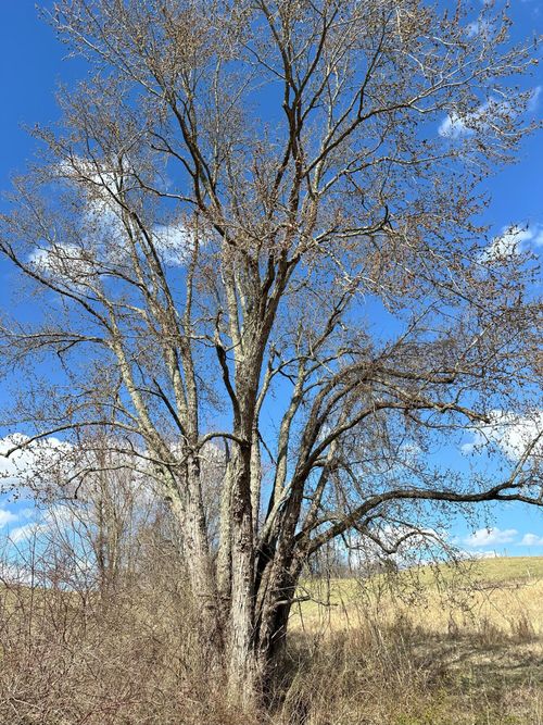 400 Ky 715, Pine Ridge, KY, 41360-9004 | Card Image