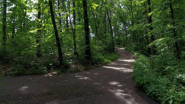 Gorgeous walking trails | Image 40