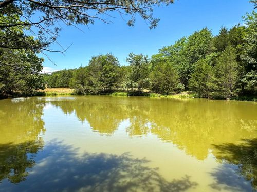 4115 Johnson View Rd, Wiseman, AR, 72587-8809 | Card Image