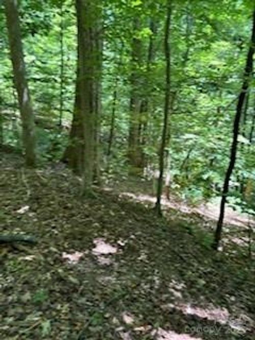 lot-11-0 Cherokee Cir, Tryon, NC, 28782 | Card Image