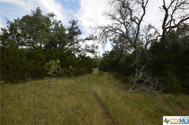17426 N Highway 183, Home with 0 bedrooms, 0 bathrooms and null parking in Lometa TX | Image 11