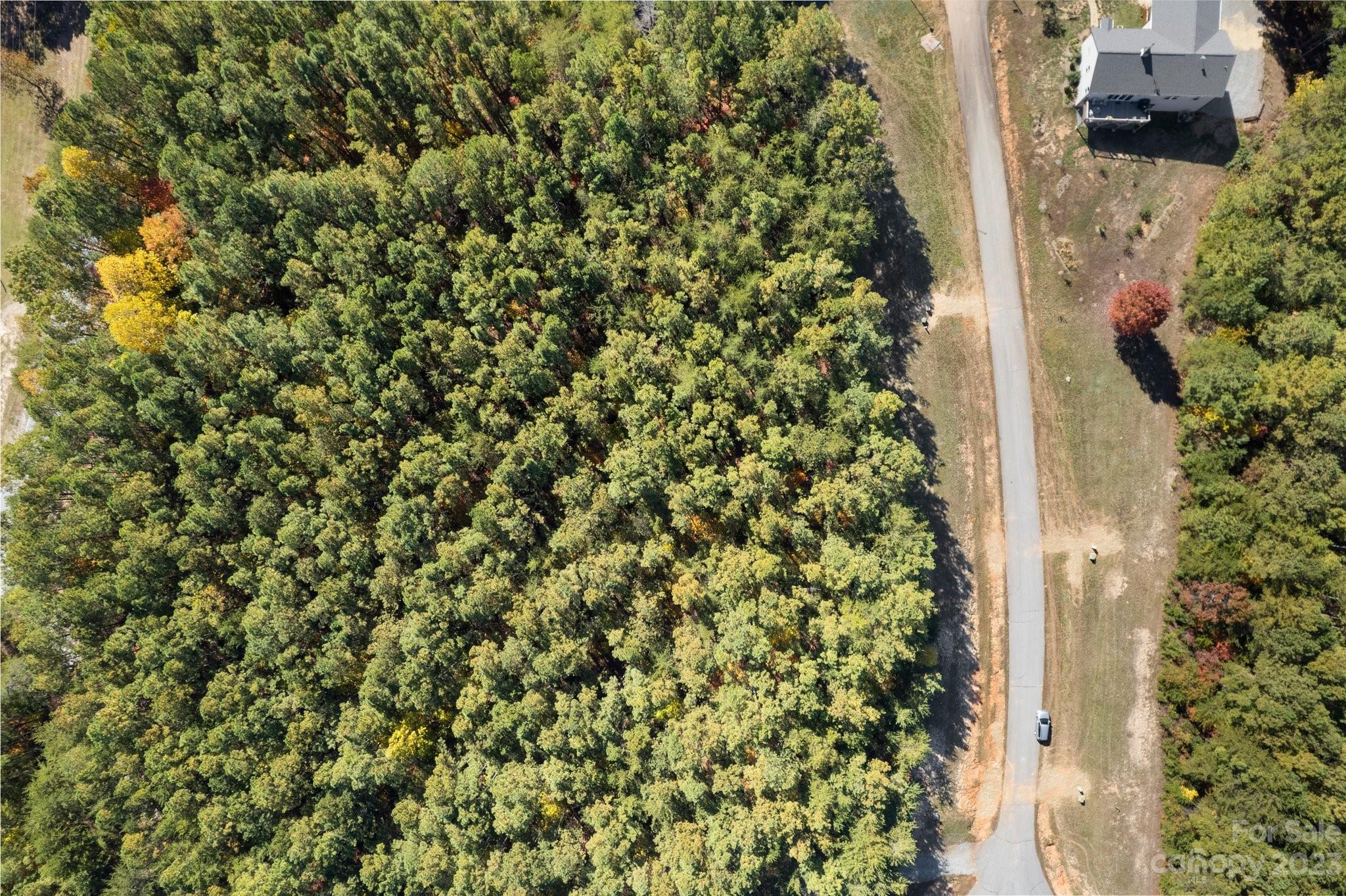Land in Rutherfordton 5