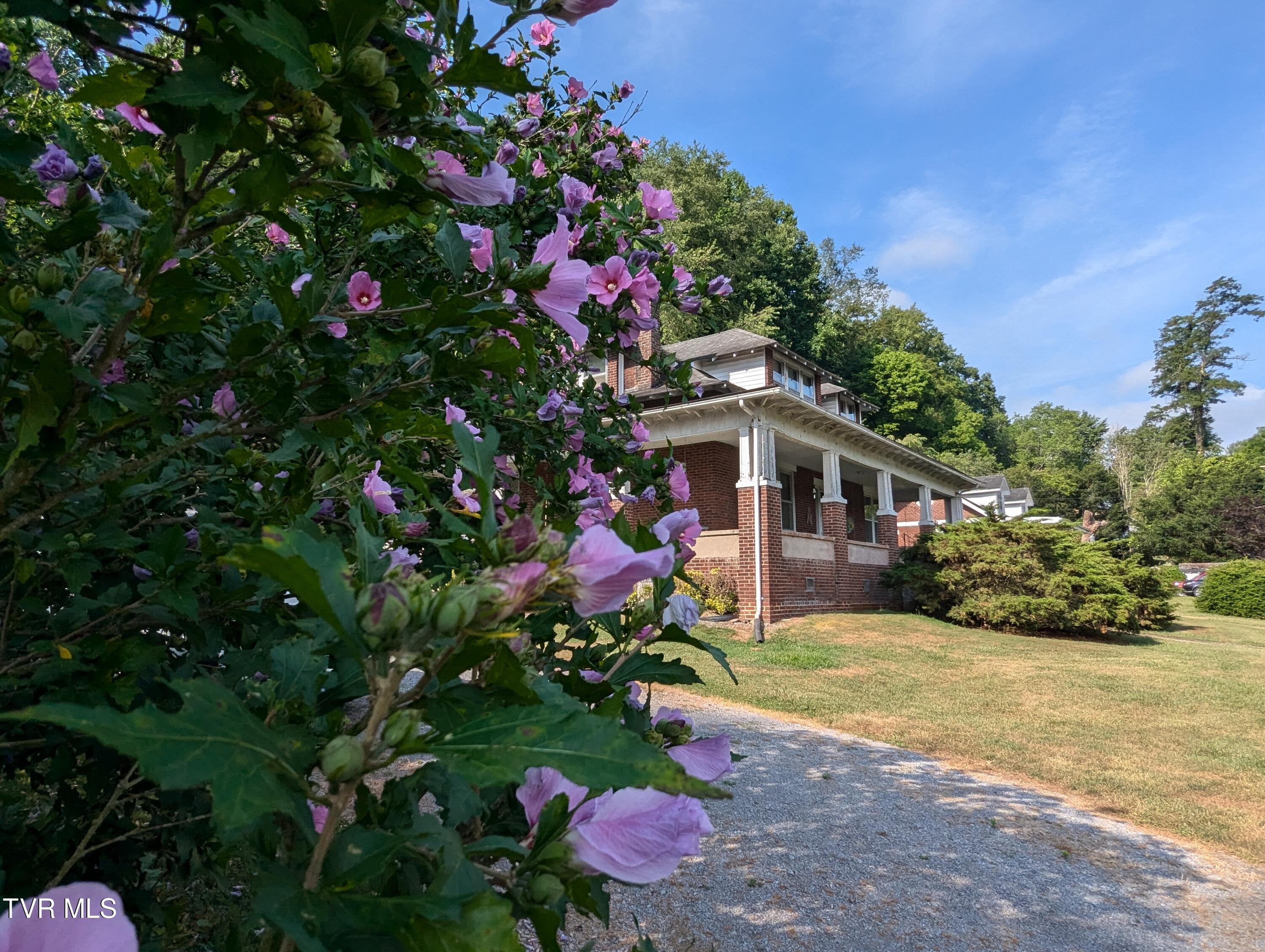Dr Thomas Walker Rd, Rose Hill, VA 24281