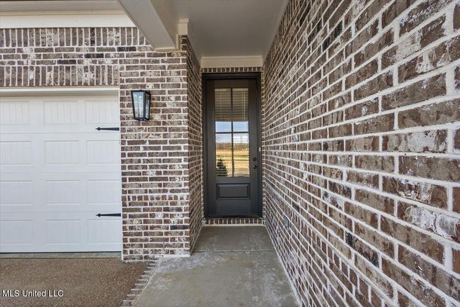 Panola | Image 7