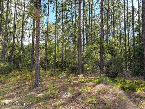 0 Paso Fino Rd, Green Cove Springs, FL, 32043 | Card Image