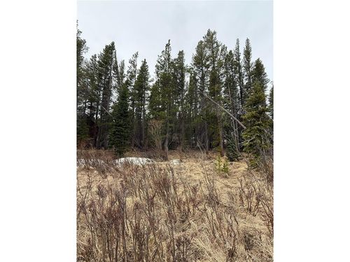 111 Silver Creek Rd, Idaho Springs, CO, 80452-9734 | Card Image