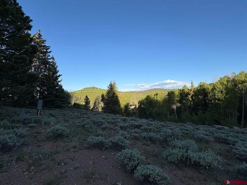 734 Deer Trail Rd, Cimarron, CO, 81220-9577 | Card Image