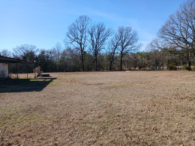 View of yard | Image 5