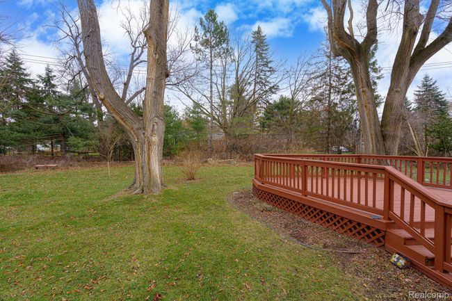 huge yard | Image 40