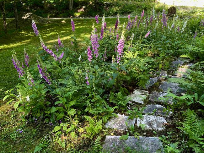 299 Campbell Rd, House other with 0 bedrooms, 0 bathrooms and null parking in Sandgate VT | Image 11