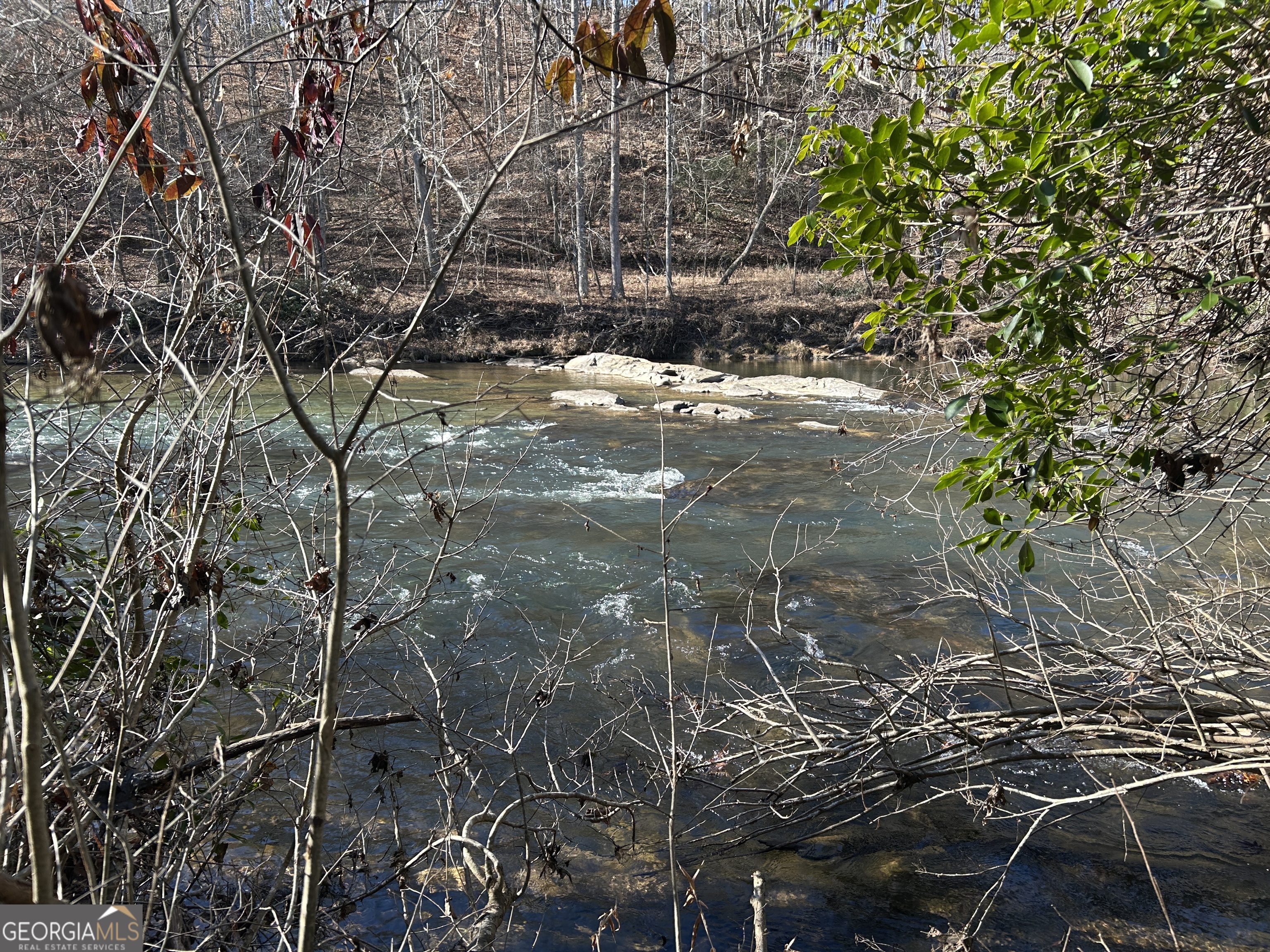 Land in Demorest 4