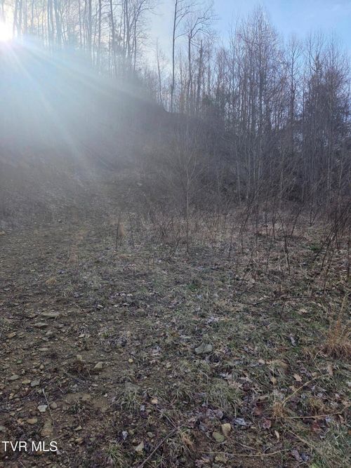 Tbd Tiger Creek Rd, Roan Mountain, TN, 37687 | Card Image