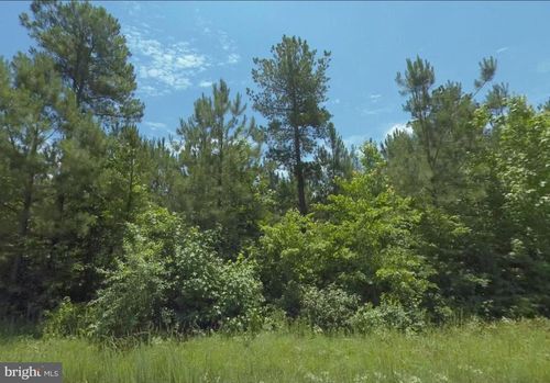 Lot 6 Dillard Rd, Lawrenceville, VA, 23868 | Card Image