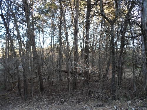 Lot 1060 Mountain View Lane, Baneberry, TN, 37890 | Card Image