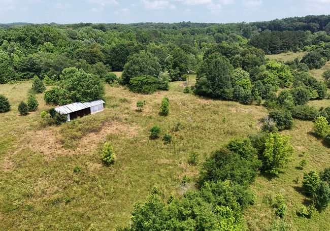 268 Brockton Loop, Home with 0 bedrooms, 0 bathrooms and null parking in Jefferson GA | Image 12