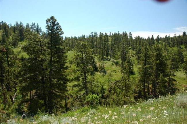 SC-25 - TBD Lone Rock Canyon Lane, Home with 0 bedrooms, 0 bathrooms and null parking in Hysham MT | Image 32