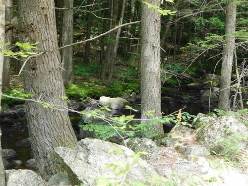 75-0 Bog Road, Hillsborough, NH, 03244 | Card Image