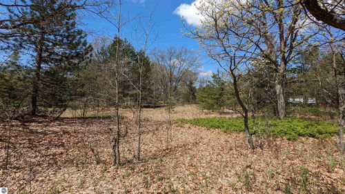 Lot 19 Wingert St, Brethren, MI, 49619 | Card Image