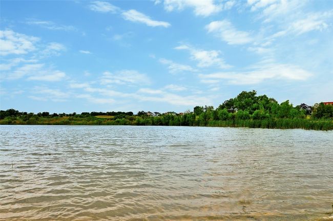 Community fishing pond | Image 34
