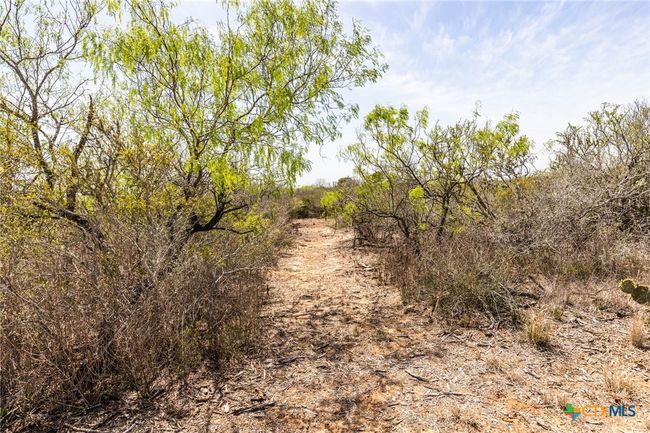 1426 S Dr E.E. Dunlap Hwy, House other with 3 bedrooms, 2 bathrooms and null parking in San Diego TX | Image 8