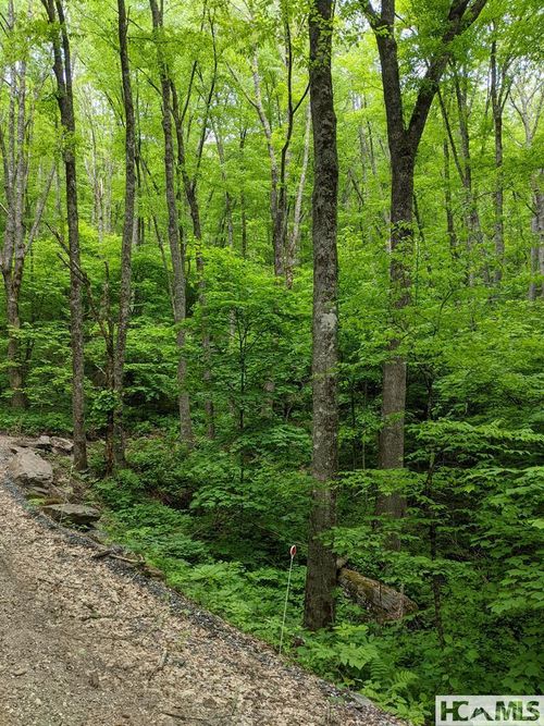 0 Buck Knob, Cullowhee, NC, 28723 | Card Image