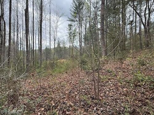 TBD Hollow Springs Circle, Boomer, NC, 28606 | Card Image
