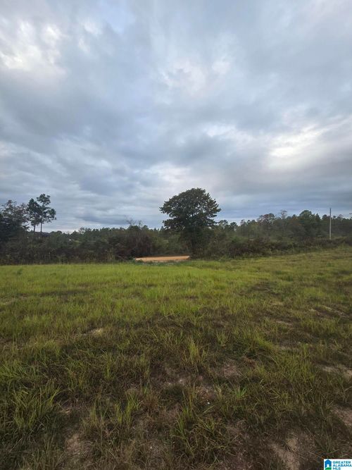 none-1089 County Road 351, Maplesville, AL, 36750 | Card Image