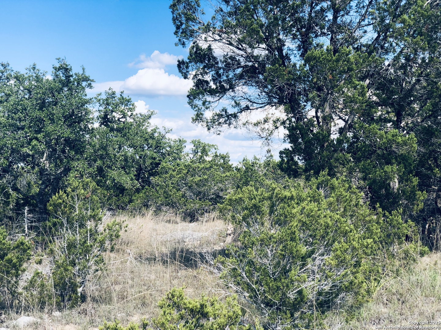 Land in Spring Branch 5