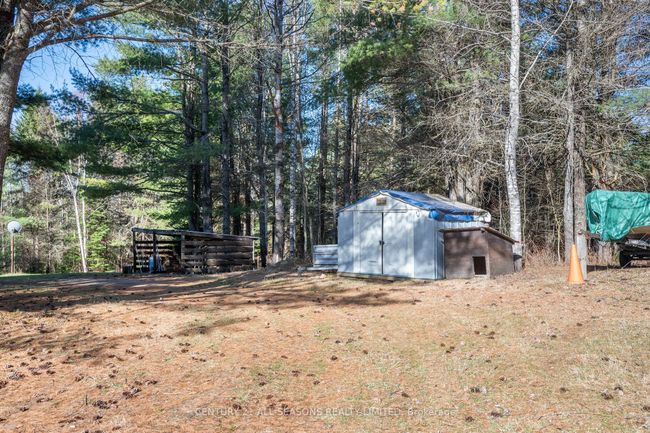 37 Mayhew Rd, House other with 3 bedrooms, 1 bathrooms and 6 parking in Carl ON | Image 5