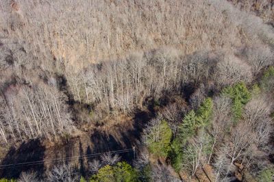 Lot 38 Lanis Road, Home with 0 bedrooms, 0 bathrooms and null parking in Baxter TN | Image 3