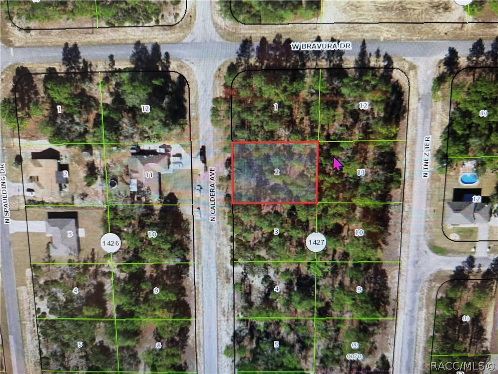 Land in Dunnellon