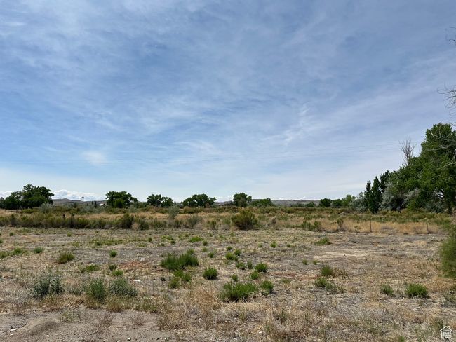 View of undeveloped land featuring rural landscape | Image 9