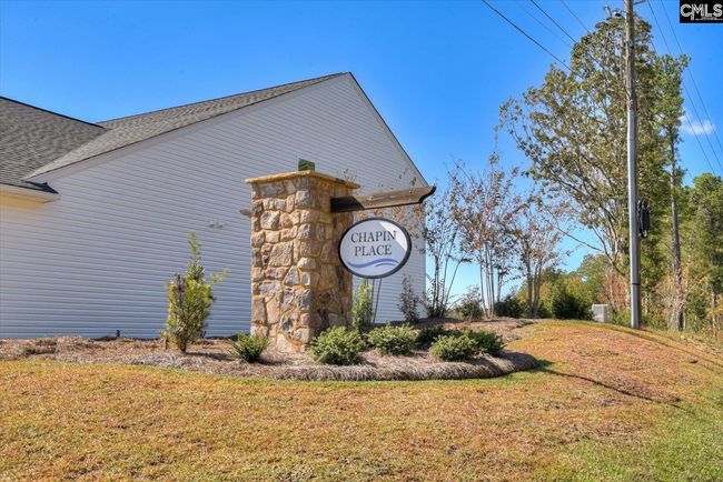 330 Chapin Place Way, House other with 6 bedrooms, 5 bathrooms and null parking in Chapin SC | Image 4