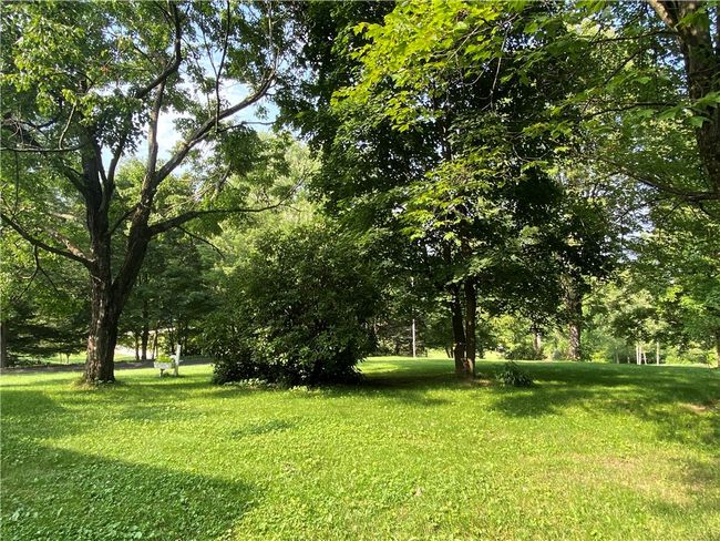 Front Yard View | Image 22
