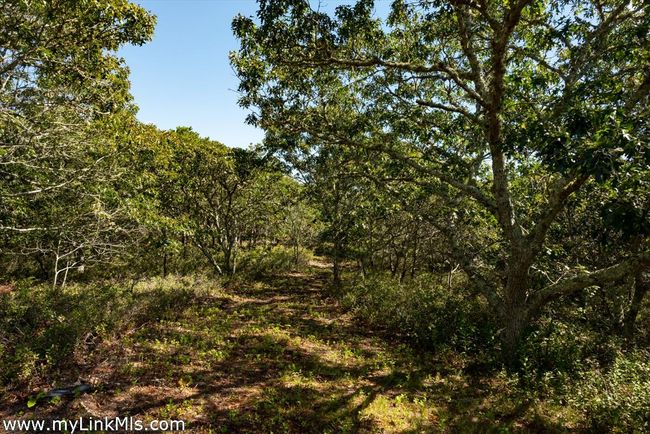 4 Cedar Ln, Home with 0 bedrooms, 0 bathrooms and null parking in Chilmark MA | Image 15