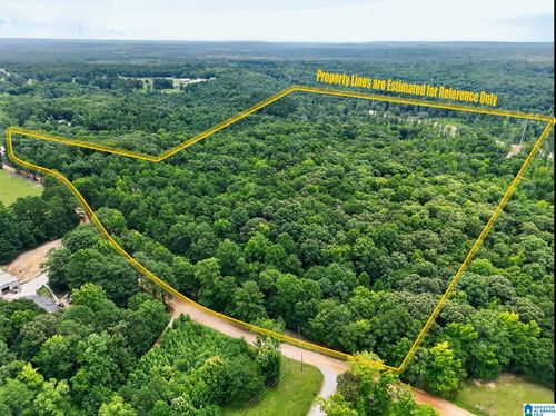 0-0 County Road 133, Jemison, AL, 35085 | Card Image