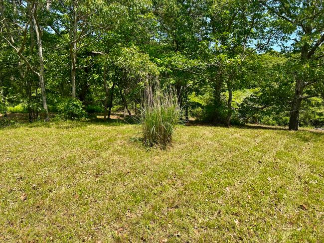 0 Jeffers Way, Home with 0 bedrooms, 0 bathrooms and null parking in Chilmark MA | Image 6