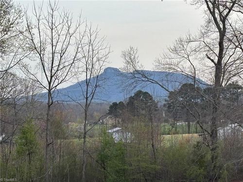 166 Springfield Rd, Pilot Mountain, NC, 27041-7139 | Card Image