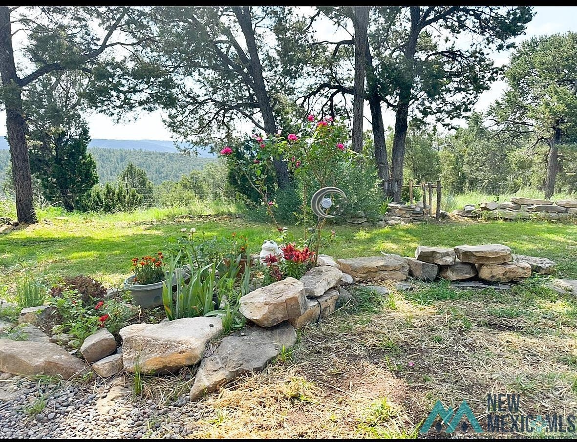 Residential in Pecos 2