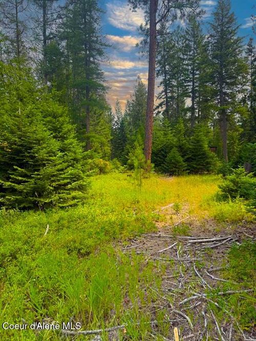 NNA Ginger, Bonners Ferry, ID, 83805 | Card Image