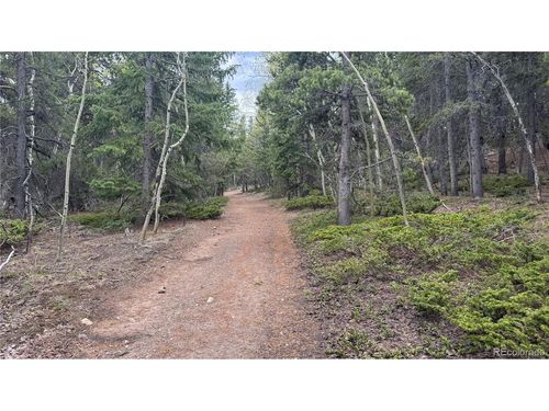 5 Roy Smith Rd, Central City, CO, 80427-5085 | Card Image