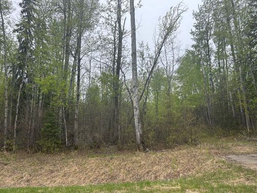 123 Poplar Drive Rr Drive, Conklin, AB, T0P1H0 | Card Image