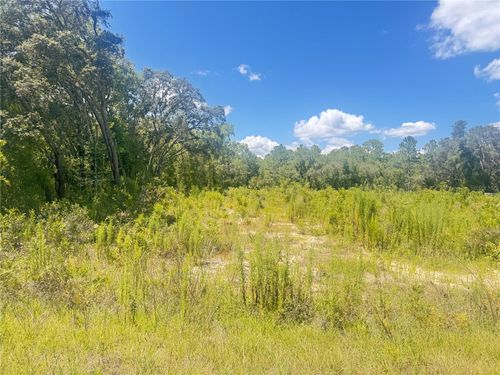 TBD Sw 91st Ln, DUNNELLON, FL, 34432 | Card Image