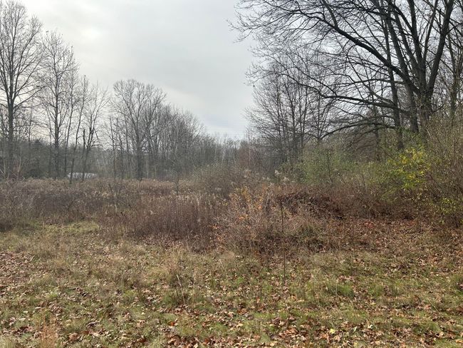 28200 Sherwood Rd, Home with 0 bedrooms, 1 bathrooms and null parking in Sumpter Township MI | Image 10