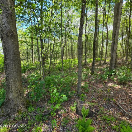 LOT 1 Pioneer Trl, Muncy Valley, PA, 17758 | Card Image