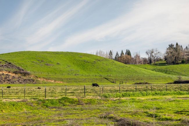 25045 N Mcintire Rd, Home with 0 bedrooms, 0 bathrooms and null parking in Clements CA | Image 28
